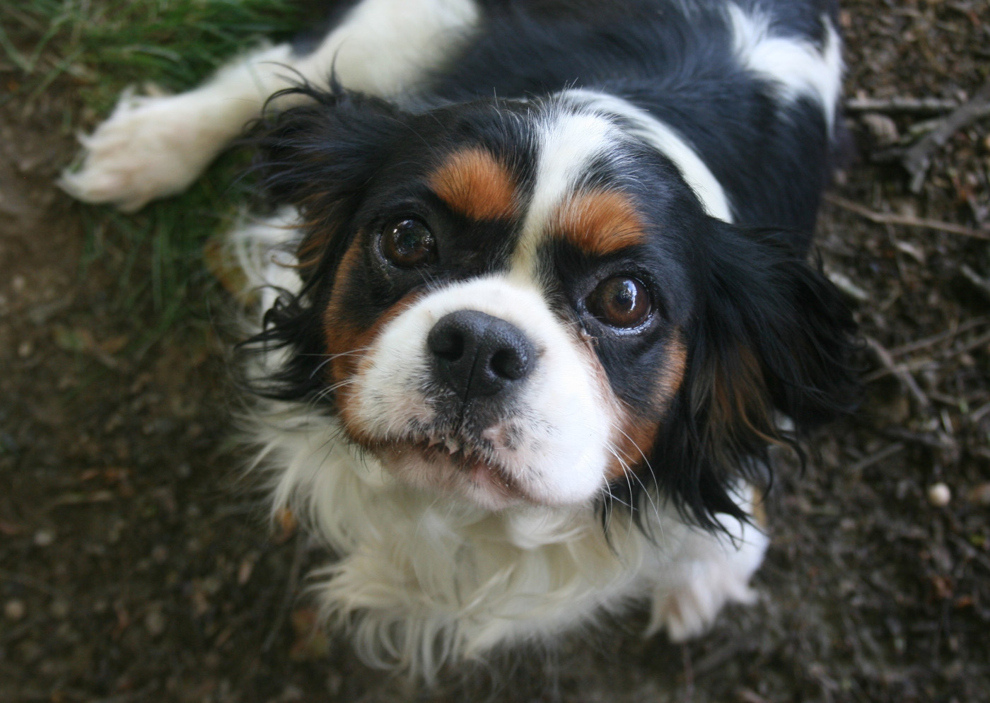 Toscane Des Jardins De Vesco